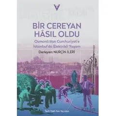 Bir Cereyan Hasıl Oldu - Nurçin İleri - Tarih Vakfı Yurt Yayınları