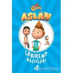 Aslan - Labirent Kaşifleri - Kolektif - Erdem Çocuk