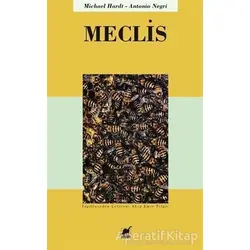 Meclis - Antonio Negri - Ayrıntı Yayınları