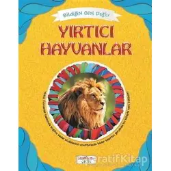 Bildiğin Gibi Değil - Yırtıcı Hayvanlar - Asena Meriç - Yediveren Çocuk