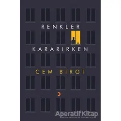 Renkler Kararırken - Cem Birgi - Cinius Yayınları