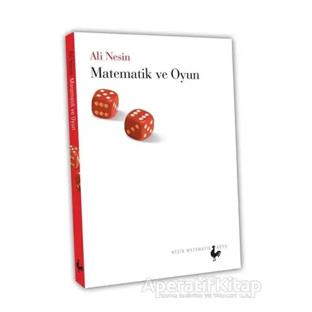 Matematik ve Oyun - Ali Nesin - Nesin Yayınevi