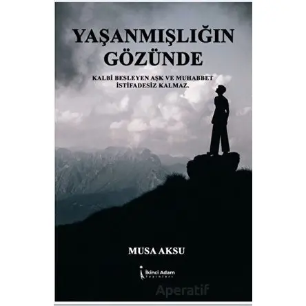 Yaşanmışlığın Gözünde - Musa Aksu - İkinci Adam Yayınları